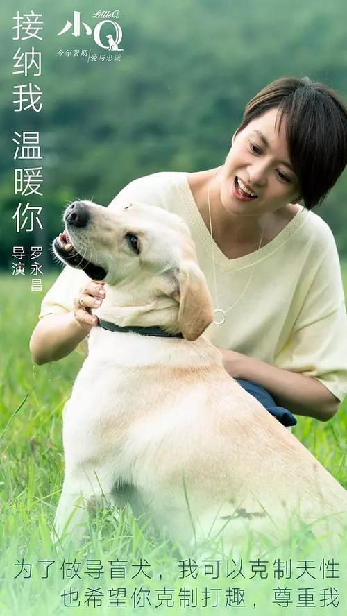 HochschuleFurtwangen文凭购买